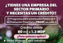 CRÉDITOS PARA PROYECTOS PRODUCTIVOS AGRÍCOLAS HASTA POR 1.2 MDP CON SÍ FINANCIA