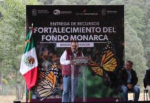 MICHOACÁN CONTRIBUYE A ESFUERZO TRINACIONAL PARA CONSERVACIÓN DE LA MONARCA: SECMA