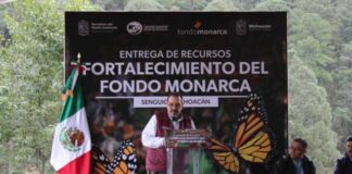 MICHOACÁN CONTRIBUYE A ESFUERZO TRINACIONAL PARA CONSERVACIÓN DE LA MONARCA: SECMA