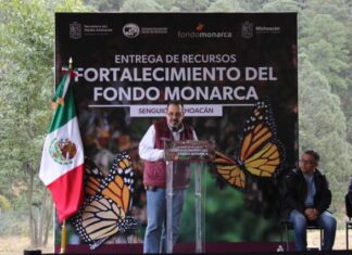 MICHOACÁN CONTRIBUYE A ESFUERZO TRINACIONAL PARA CONSERVACIÓN DE LA MONARCA: SECMA