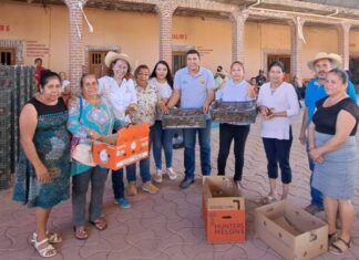 BENEFICIADAS MÁS DE 10 MIL FAMILIAS CON ALIMENTOS PARA AUTOCONSUMO: SADER