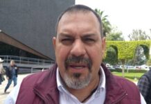 ALISTAN DECRETO PARA CERTIFICAR HUERTAS DE AGUACATE