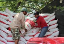 ESTOS SON LOS REQUISITOS PARA QUE PEQUEÑOS PRODUCTORES RECIBAN FERTILIZANTE GRATUITO