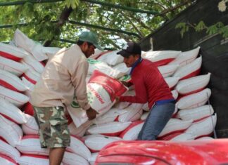 ESTOS SON LOS REQUISITOS PARA QUE PEQUEÑOS PRODUCTORES RECIBAN FERTILIZANTE GRATUITO