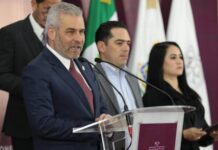 LEY DE MOVILIDAD ES CONSTITUCIONAL: BEDOLLA