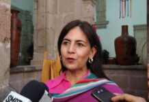 Al menos 10 universidades ofertan carreras de formación docente: SEE