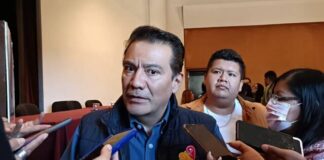 Solicitarán autoridades, reporte oficial sobre presencia de Monarcas, ante presunta reducción de mariposas