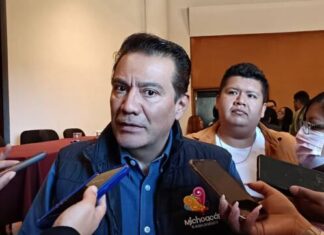 Solicitarán autoridades, reporte oficial sobre presencia de Monarcas, ante presunta reducción de mariposas