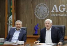 Bedolla y Sader trazan ruta para la certificación y regulación ambiental del aguacate