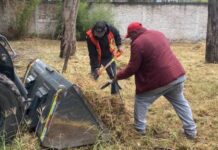 Gobierno Municipal y ciudadanía recuperan 3 áreas verdes