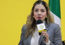Encabezan Brissa Arroyo y Octavio Ocampo, candidaturas plurinominales del PRD a diputaciones locales
