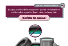Lavar y tapar recipientes de agua ayuda a prevenir el dengue en casa: SSM