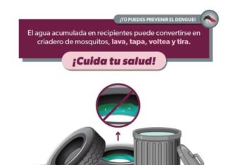 Lavar y tapar recipientes de agua ayuda a prevenir el dengue en casa: SSM