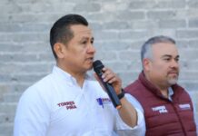 Gobierno de Bedolla, un referente en política ambiental: Torres Piña
