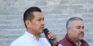 Gobierno de Bedolla, un referente en política ambiental: Torres Piña