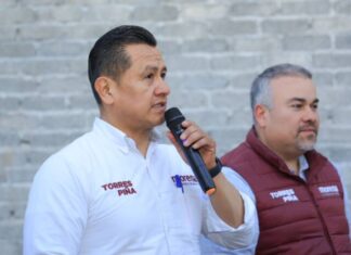 Gobierno de Bedolla, un referente en política ambiental: Torres Piña