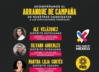 Con la Revolución Amarilla del PRD, vamos por el triunfo en diputaciones federales