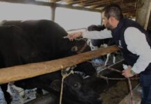 Gobierno Municipal arranca con Programa de Sanidad Animal 2024