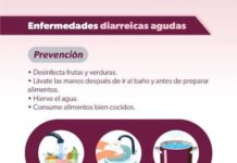 EN TEMPORADA DE CALOR, PREVÉN ENFERMEDADES GASTROINTESTINALES CON ESTOS HÁBITOS