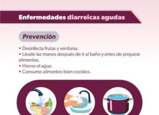 EN TEMPORADA DE CALOR, PREVÉN ENFERMEDADES GASTROINTESTINALES CON ESTOS HÁBITOS