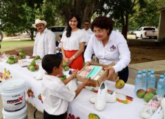 JALO A ESTUDIAR LLEGA A CASA ESCUELA DE PARÁCUARO: SEE