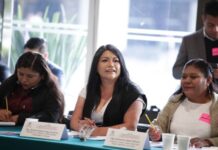 JUSTICIA PARA LOS PUEBLOS ORIGINARIOS EN MICHOACÁN