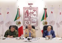 LOCALIZA GUARDIÁN FORESTAL 813 HUERTAS IRREGULARES DE AGUACATE