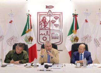 LOCALIZA GUARDIÁN FORESTAL 813 HUERTAS IRREGULARES DE AGUACATE
