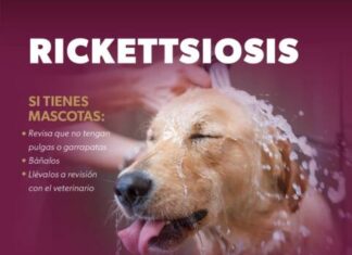 CONOCE QUÉ ES LA RICKETTSIOSIS Y CÓMO PREVENIRLA CON ESTOS CONSEJOS DE LA SSM