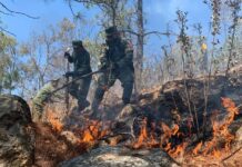 Registrados, seis incendios forestales en Morelia: Cofom