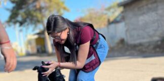 PROHIBICIÓN CONSTITUCIONAL AL MALTRATO ANIMAL, COMPROMISO DE CAROLINA RANGEL DESDE LA CÁMARA DE DIPUTADOS