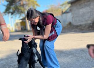 PROHIBICIÓN CONSTITUCIONAL AL MALTRATO ANIMAL, COMPROMISO DE CAROLINA RANGEL DESDE LA CÁMARA DE DIPUTADOS