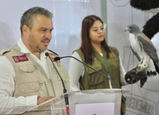 FIRMARÁ ZOO DE MORELIA, CONVENIO CON RESERVA DE ZICUIRÁN PARA LIBERACIÓN DE PSITÁCIDOS DECOMISADOS