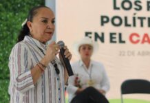 EN MÉXICO PERSISTEN GRAVES REZAGOS LABORALES, SALARIALES Y SOCIALES: JULIETA GALLARDO