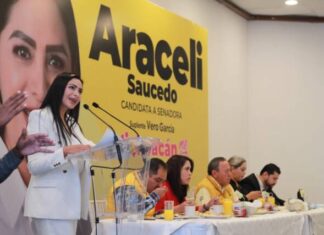 VAMOS A RECORRER TODO EL ESTADO, PARA ESTAR CERCA DE LA GENTE: ARACELI SAUCEDO