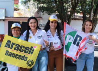 Desde el Senado seré firme por el respeto de los derechos humanos de las personas migrantes: Araceli Saucedo