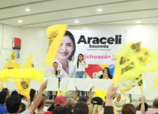 Vamos por una visión integral que potencie el desarrollo regional: Araceli Saucedo