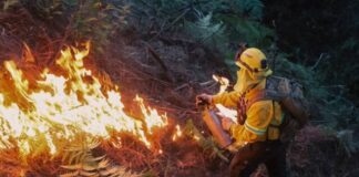 Brigadistas municipales inician primera fase de quemas controladas en el Cerro de la Cruz