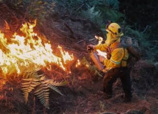 Brigadistas municipales inician primera fase de quemas controladas en el Cerro de la Cruz