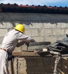 Mantener patios limpios ayuda a prevenir el dengue: SSM