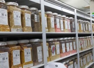 Esta iniciativa busca para proteger maíces nativos del cambio climático
