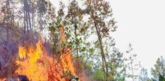 Sin riesgo, la población ante incendio de La Carátacua