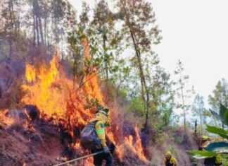 Sin riesgo, la población ante incendio de La Carátacua
