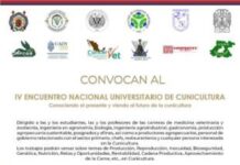 UMSNH SEDE DEL ENCUENTRO NACIONAL UNIVERSITARIO DE CUNICULTURA