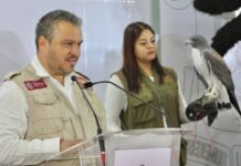 HAY NUEVO HABITANTE EN EL ZOO DE MORELIA; ES UN CUADRÚPEDO QUE AÚN SE ENCUENTRA EN CUARENTENA