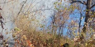 ATIENDEN BRIGADAS NUEVO INCENDIO FORESTAL EN CERRO DEL QUINCEO