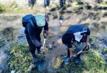 ESTUDIANTES DEL CECYTEM CONTRIBUYEN A LA CONSERVACIÓN DEL LAGO DE PÁTZCUARO