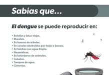 CONOCE LOS SÍNTOMAS DEL DENGUE PARA PEDIR ATENCIÓN MÉDICA INMEDIATA