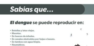 CONOCE LOS SÍNTOMAS DEL DENGUE PARA PEDIR ATENCIÓN MÉDICA INMEDIATA