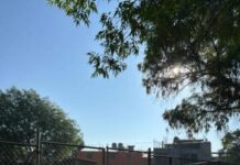 DESCARGA DEL OOAPAS INUNDA LA PARTE NORTE DEL ZOO DE MORELIA; AFECTADOS, 50 EJEMPLARES